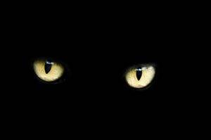 El mal de ojo