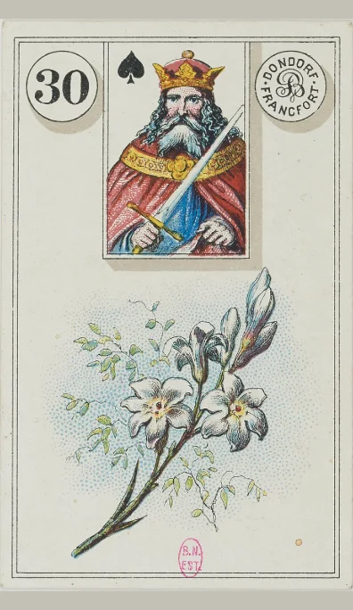 Carta 30 Los Lirios del Lenormand antiguo de Dondorf